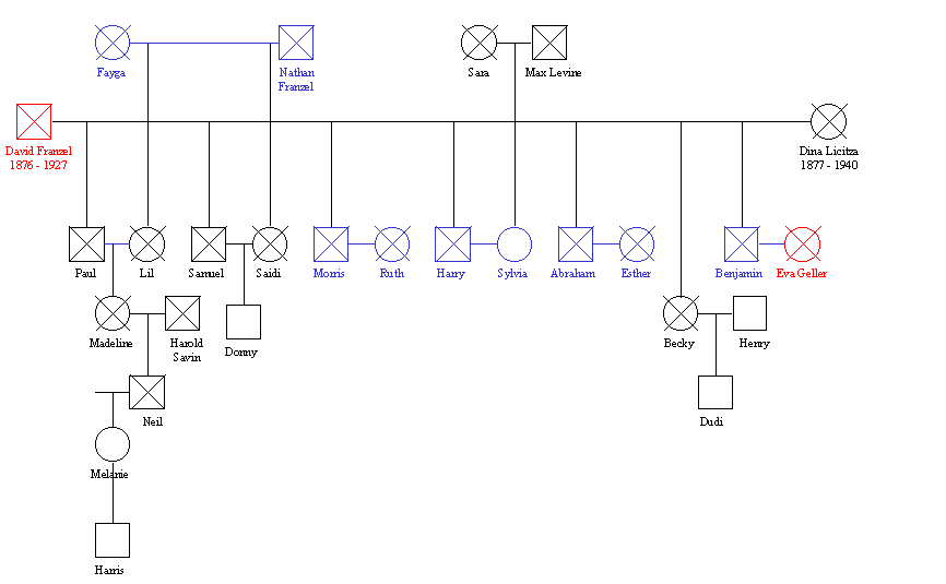 Gene11.GIF (10809 bytes)