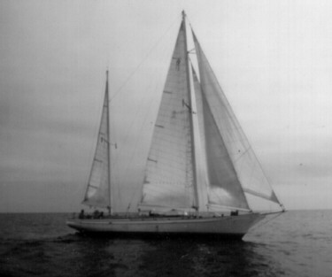 serena.jpg (17179 bytes)